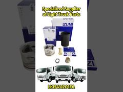 قطعات OEM Repalcement برای ISUZU / Mitsubishi / HINO / JAC / NISSAN / TOYOTA
